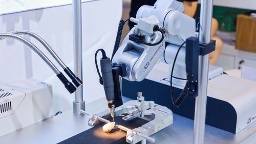 硬核科技企業(yè)為何紛紛落地上海生物科技研發(fā)高地？